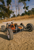 Atlas Custom Program